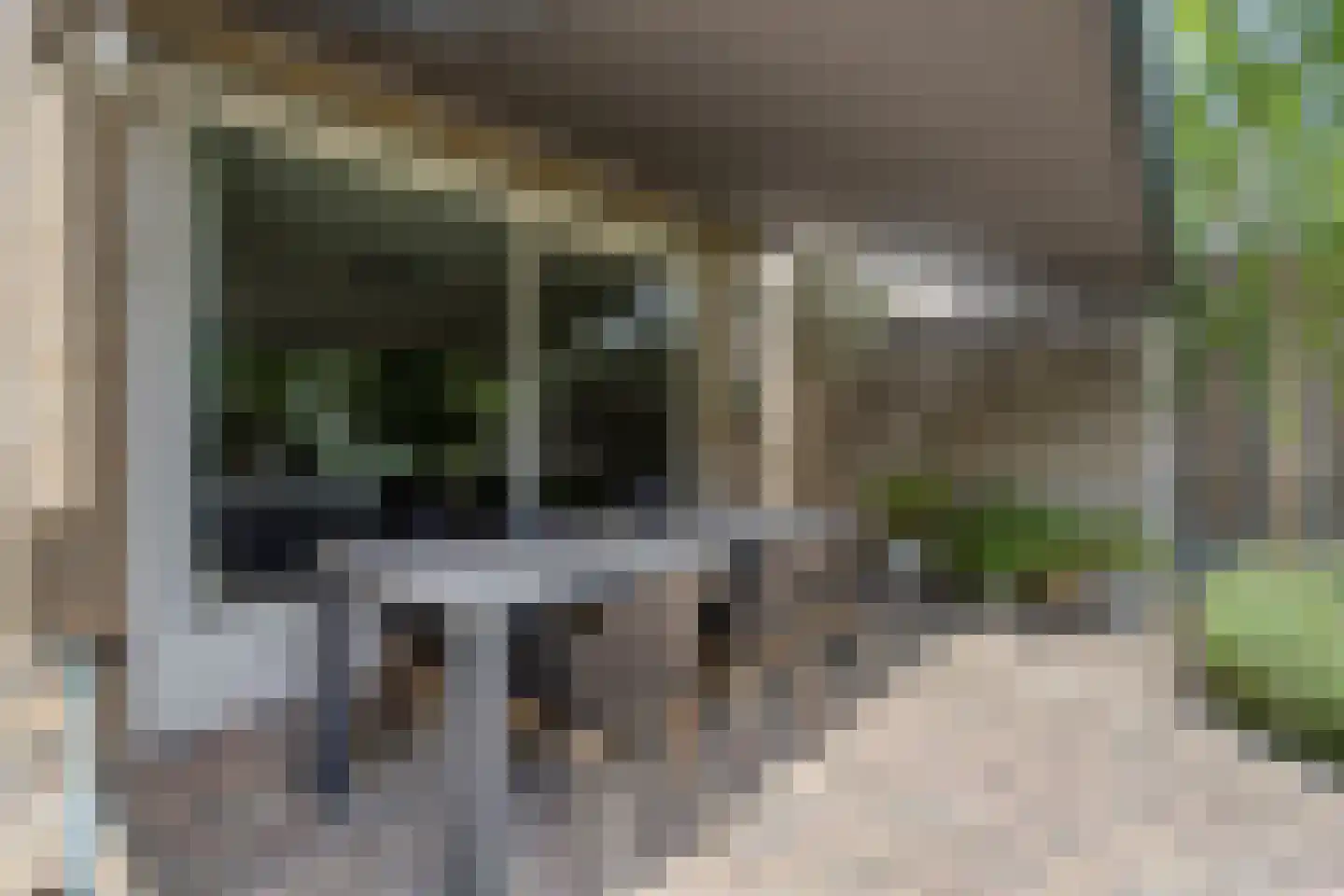 Sterappel 28 Eijsden thumbnail 34
