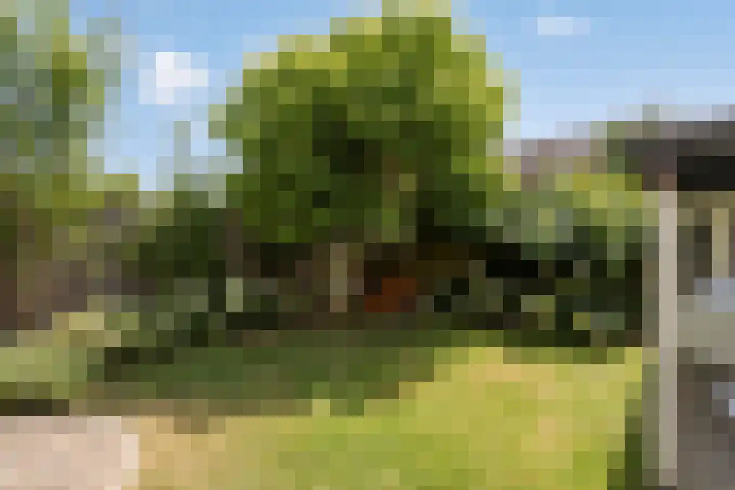 Sterappel 28 Eijsden thumbnail 35