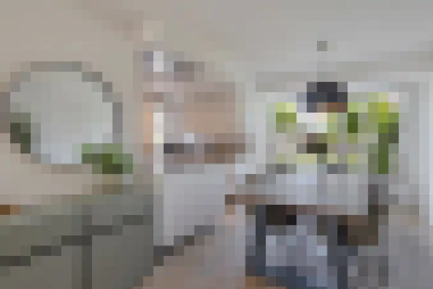Sterappel 28 Eijsden thumbnail 7