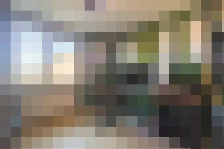 Sterappel 29 Eijsden thumbnail 12