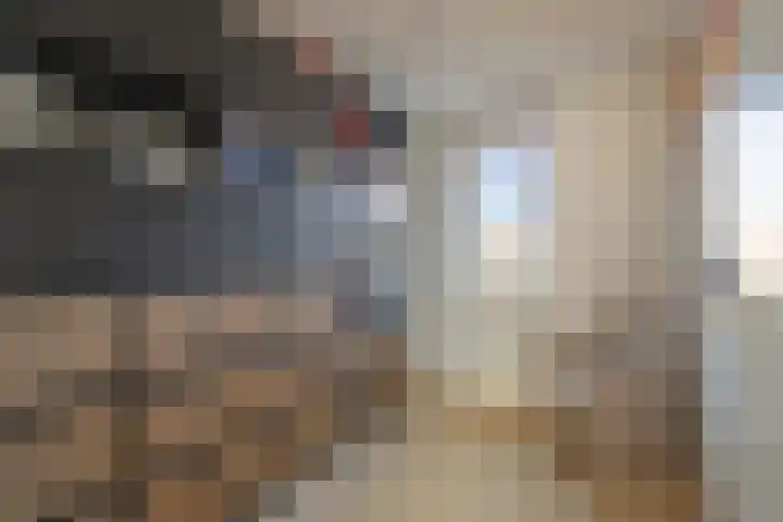 Sterappel 29 Eijsden thumbnail 13