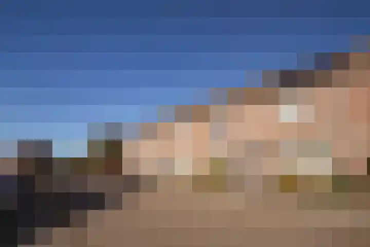 Sterappel 29 Eijsden thumbnail 17