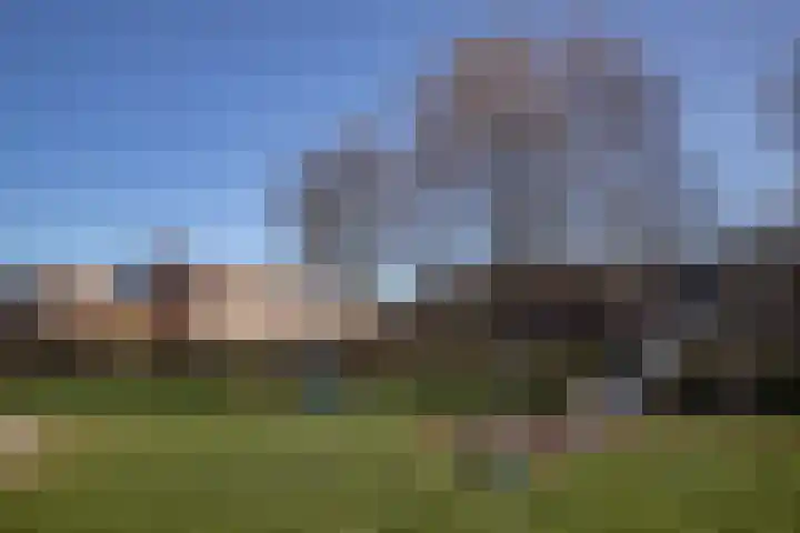 Sterappel 29 Eijsden thumbnail 18