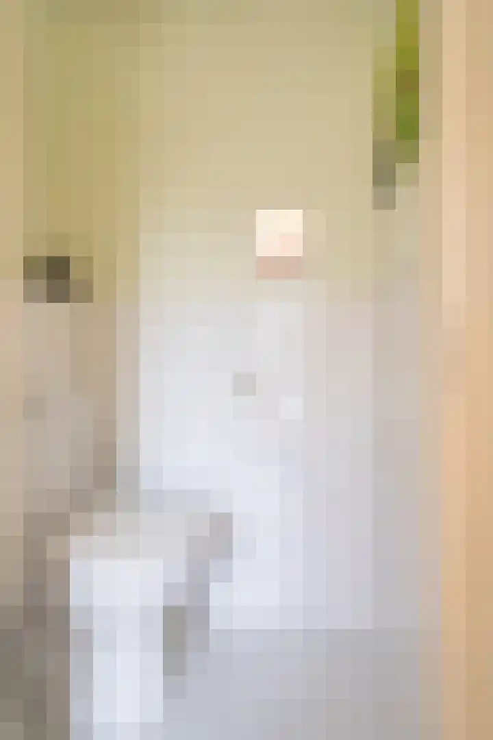 Sterappel 29 Eijsden thumbnail 5