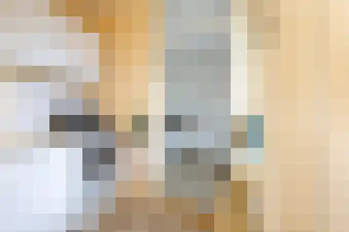 Sterappel 29 Eijsden thumbnail 9