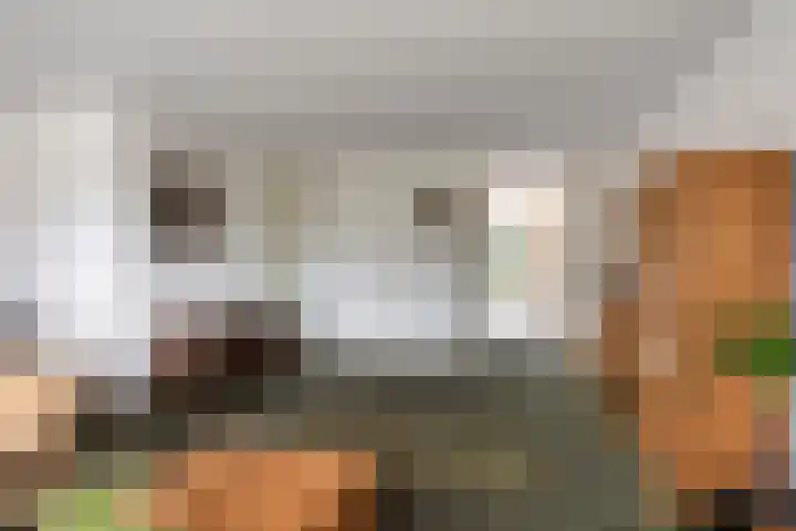 Sterappel 29 Heino thumbnail 10