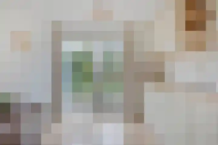Sterappel 29 Heino thumbnail 13