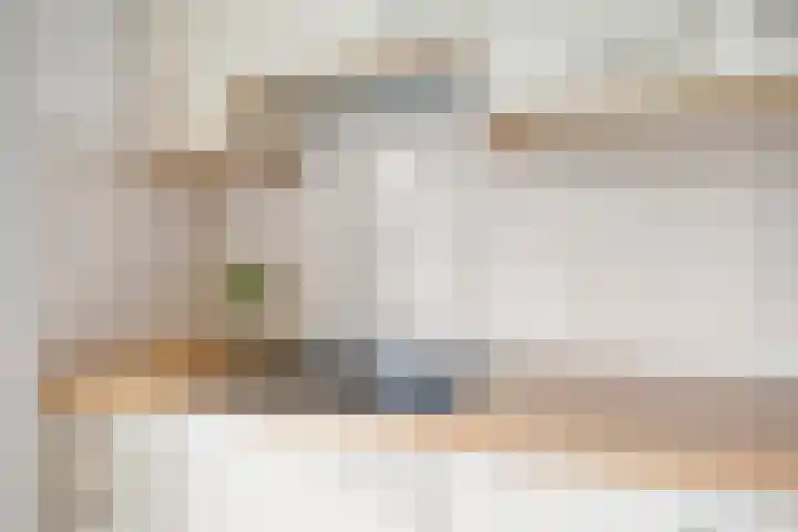 Sterappel 29 Heino thumbnail 15