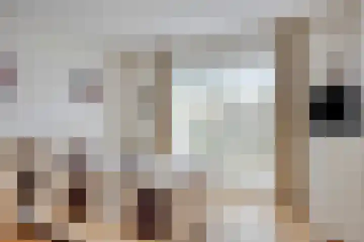 Sterappel 29 Heino thumbnail 17