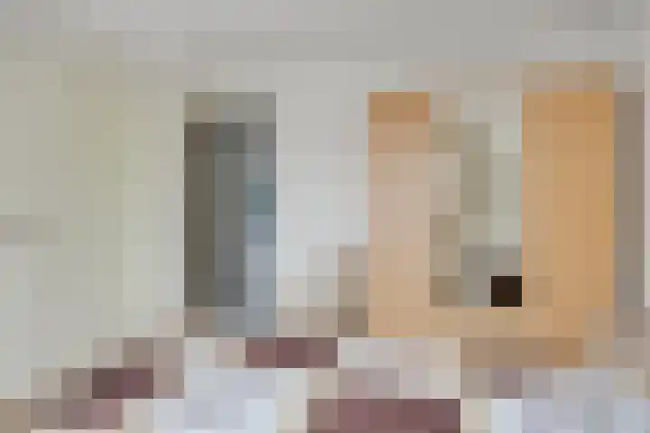 Sterappel 29 Heino thumbnail 18