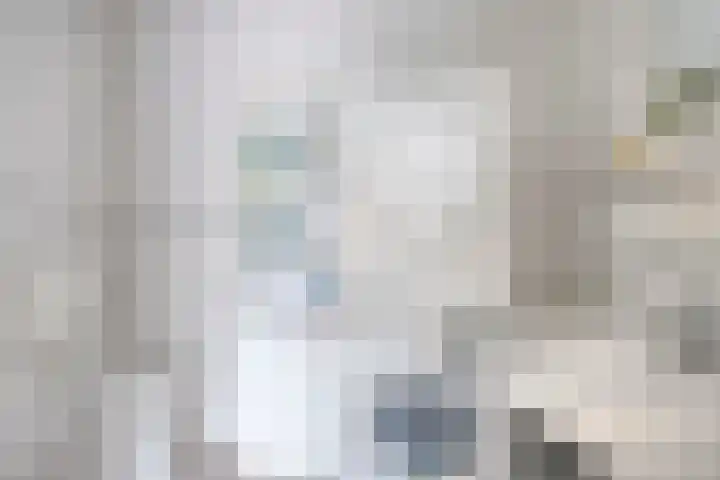 Sterappel 29 Heino thumbnail 20