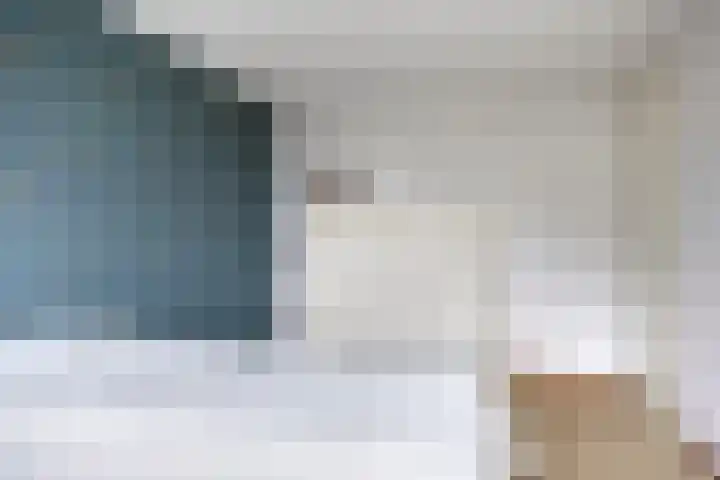 Sterappel 29 Heino thumbnail 25