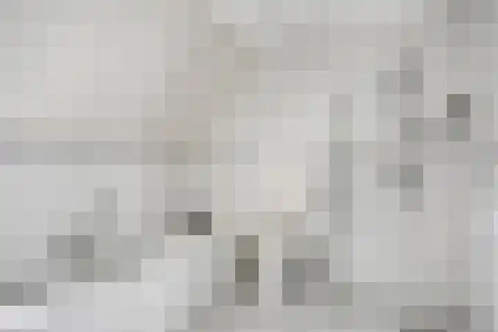 Sterappel 29 Heino thumbnail 27