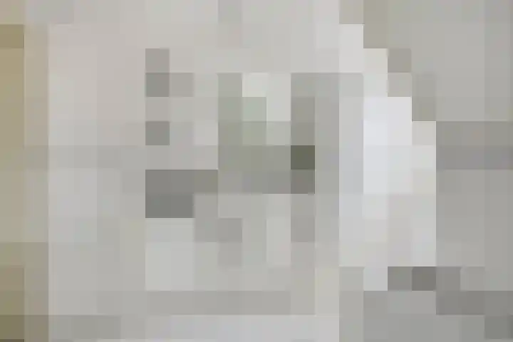 Sterappel 29 Heino thumbnail 28