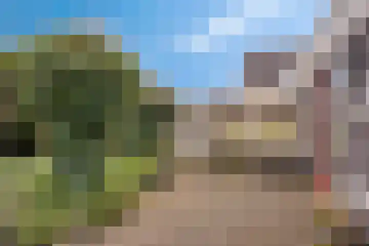 Sterappel 29 Heino thumbnail 38