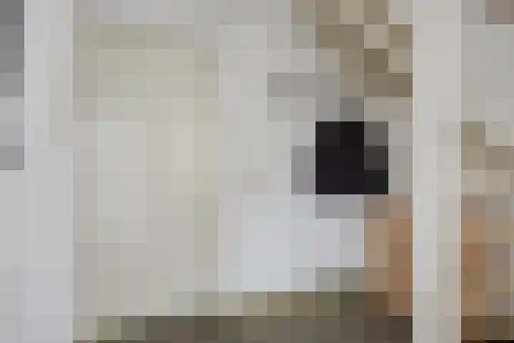 Sterappel 29 Heino thumbnail 4