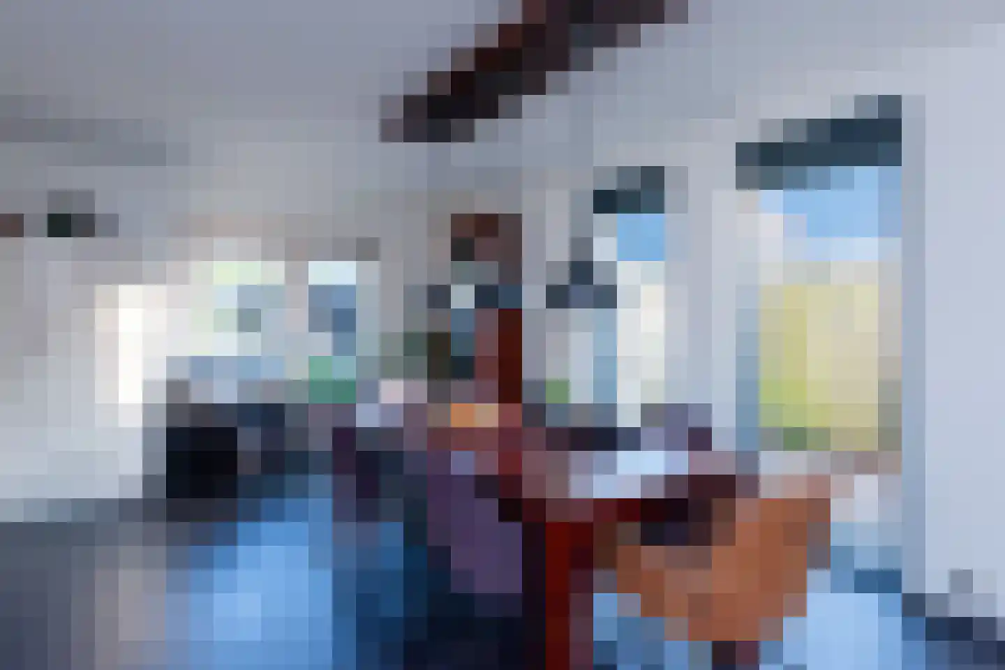 Sterappel 3 Dodewaard thumbnail 10