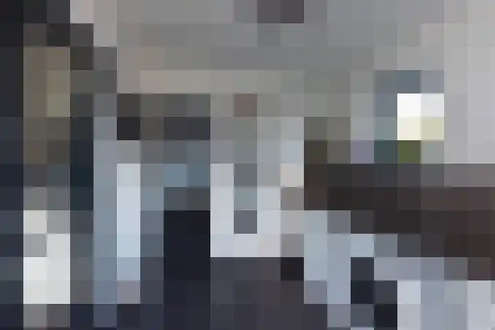 Sterappel 3 Dodewaard thumbnail 12