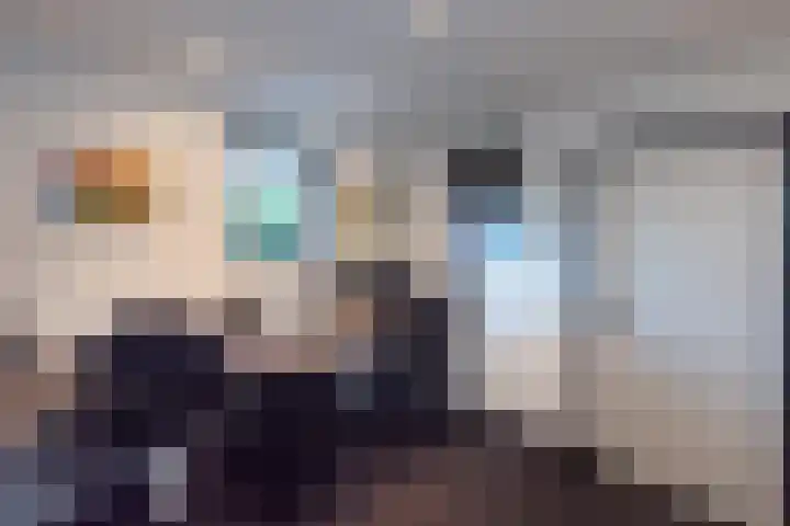 Sterappel 3 Dodewaard thumbnail 14