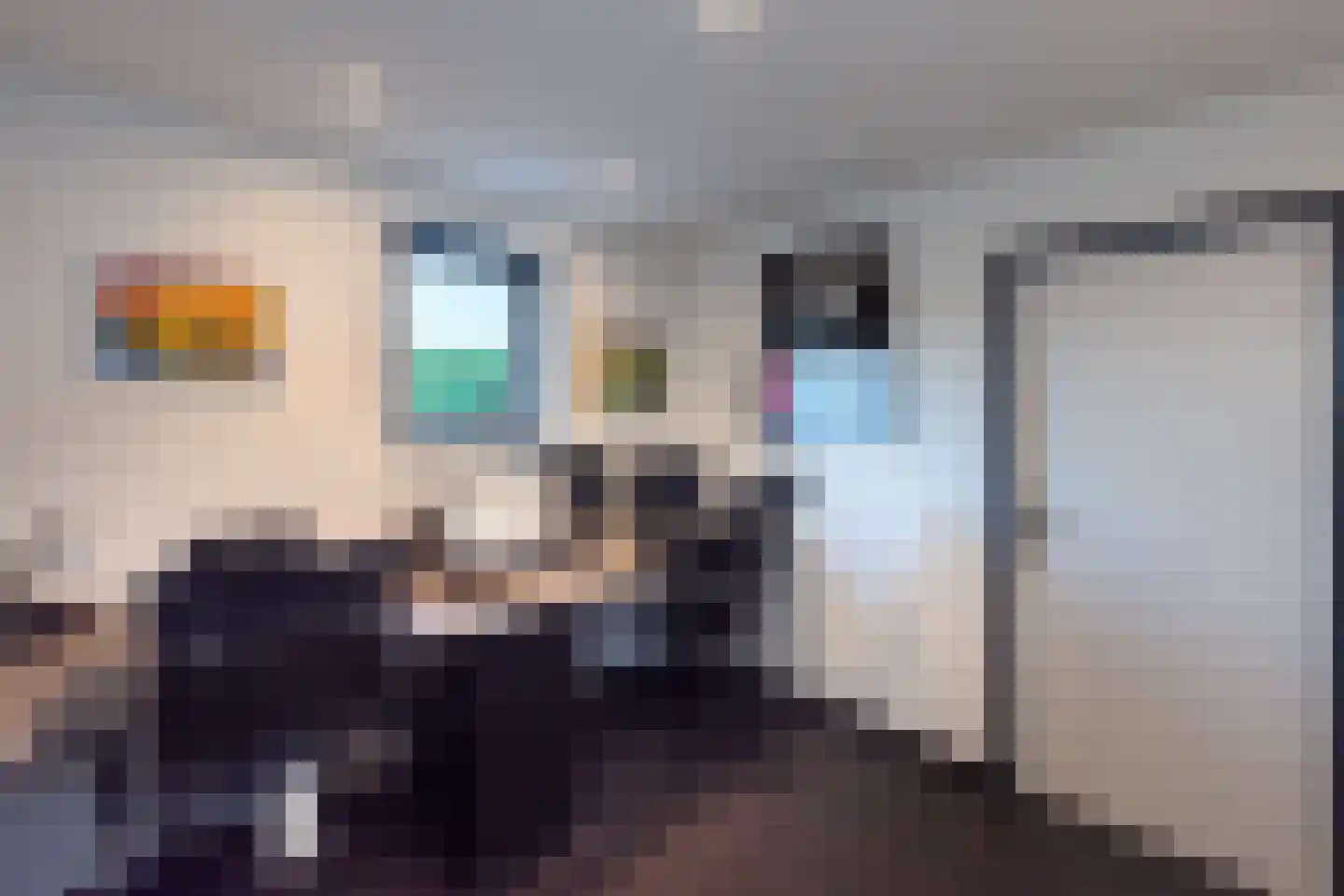 Sterappel 3 Dodewaard thumbnail 15
