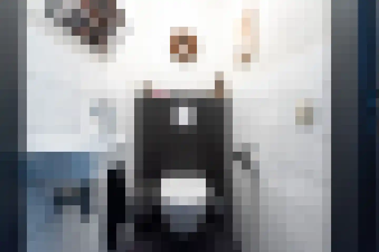 Sterappel 3 Dodewaard thumbnail 16