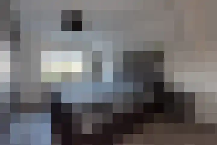 Sterappel 3 Dodewaard thumbnail 18
