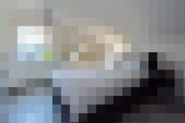 Sterappel 3 Dodewaard thumbnail 20