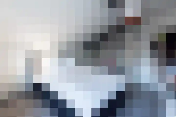 Sterappel 3 Dodewaard thumbnail 21