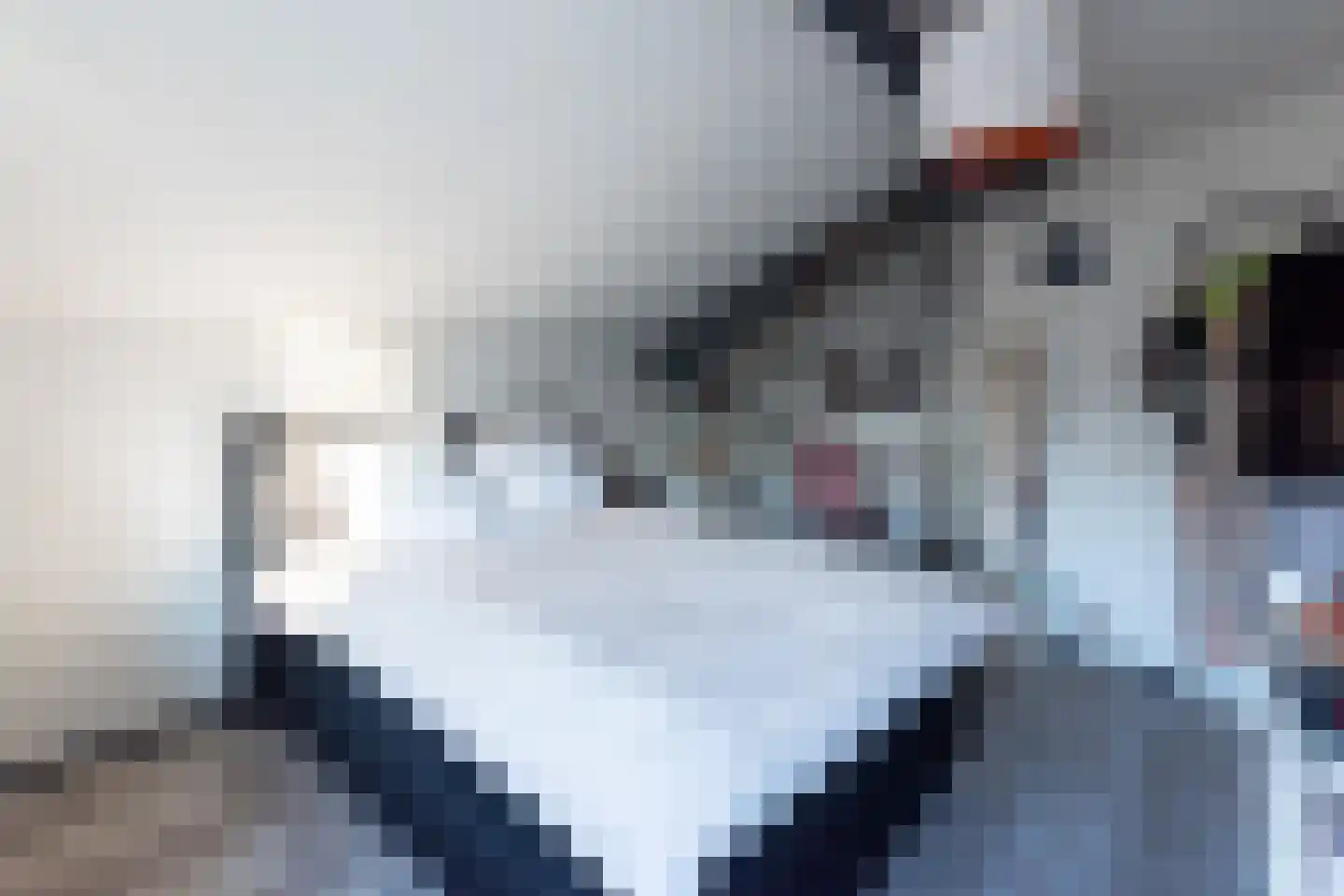 Sterappel 3 Dodewaard thumbnail 22
