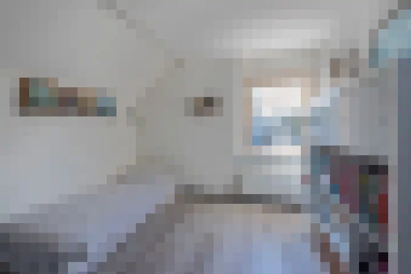 Sterappel 3 Dodewaard thumbnail 23