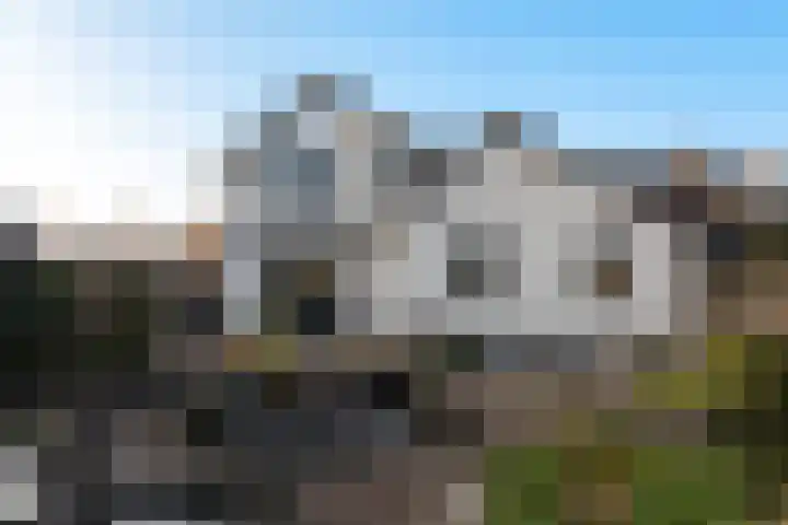 Sterappel 3 Dodewaard thumbnail 31