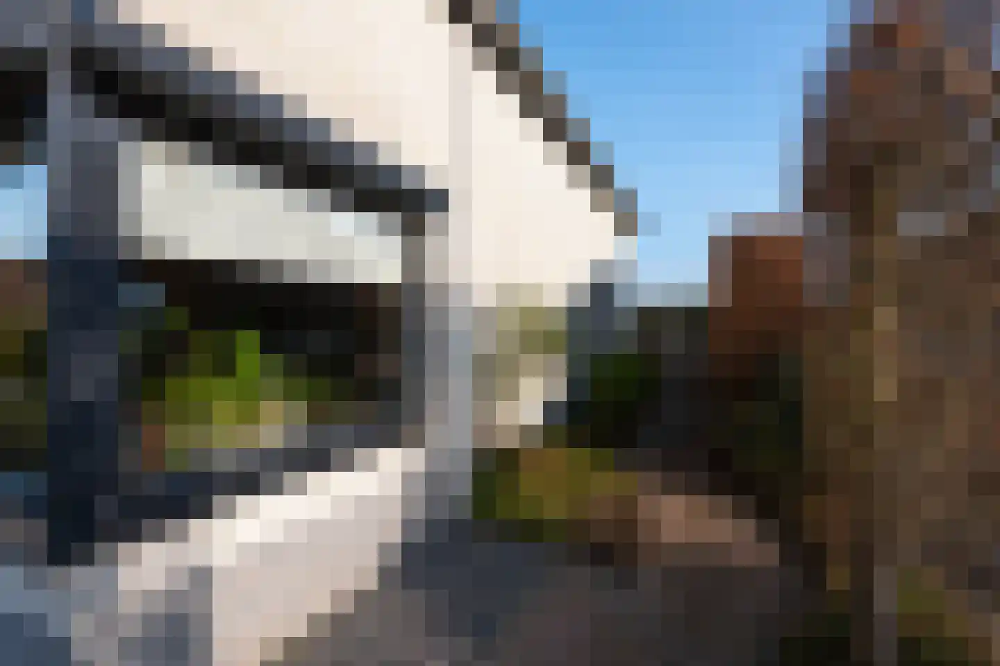 Sterappel 3 Dodewaard thumbnail 34