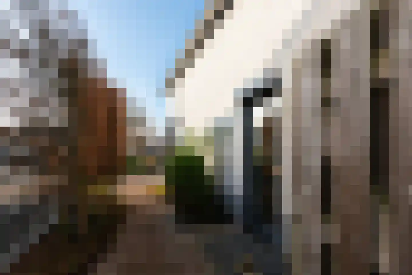 Sterappel 3 Dodewaard thumbnail 35