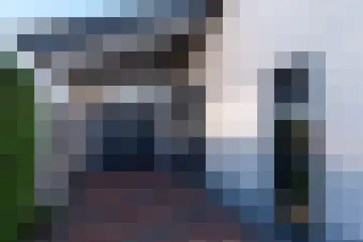 Sterappel 3 Dodewaard thumbnail 38