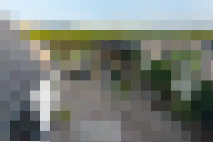 Sterappel 3 Dodewaard thumbnail 39
