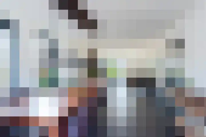 Sterappel 3 Dodewaard thumbnail 4