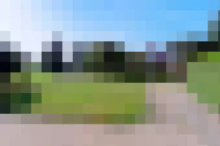 Sterappel 3 Dodewaard thumbnail 41