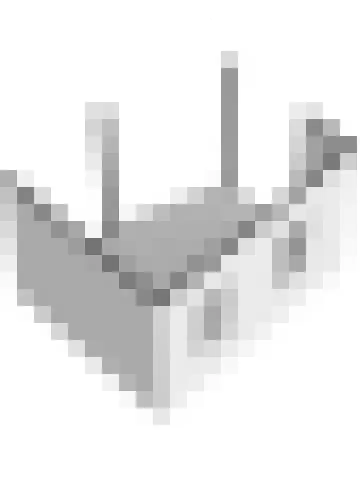 Sterappel 3 Dodewaard thumbnail 50