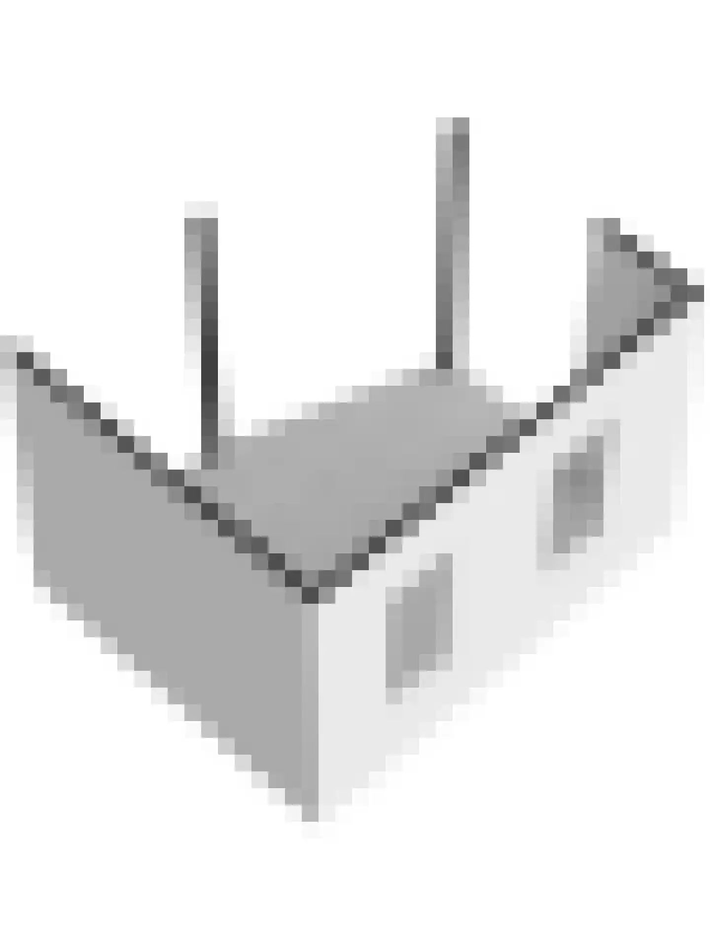Sterappel 3 Dodewaard thumbnail 50