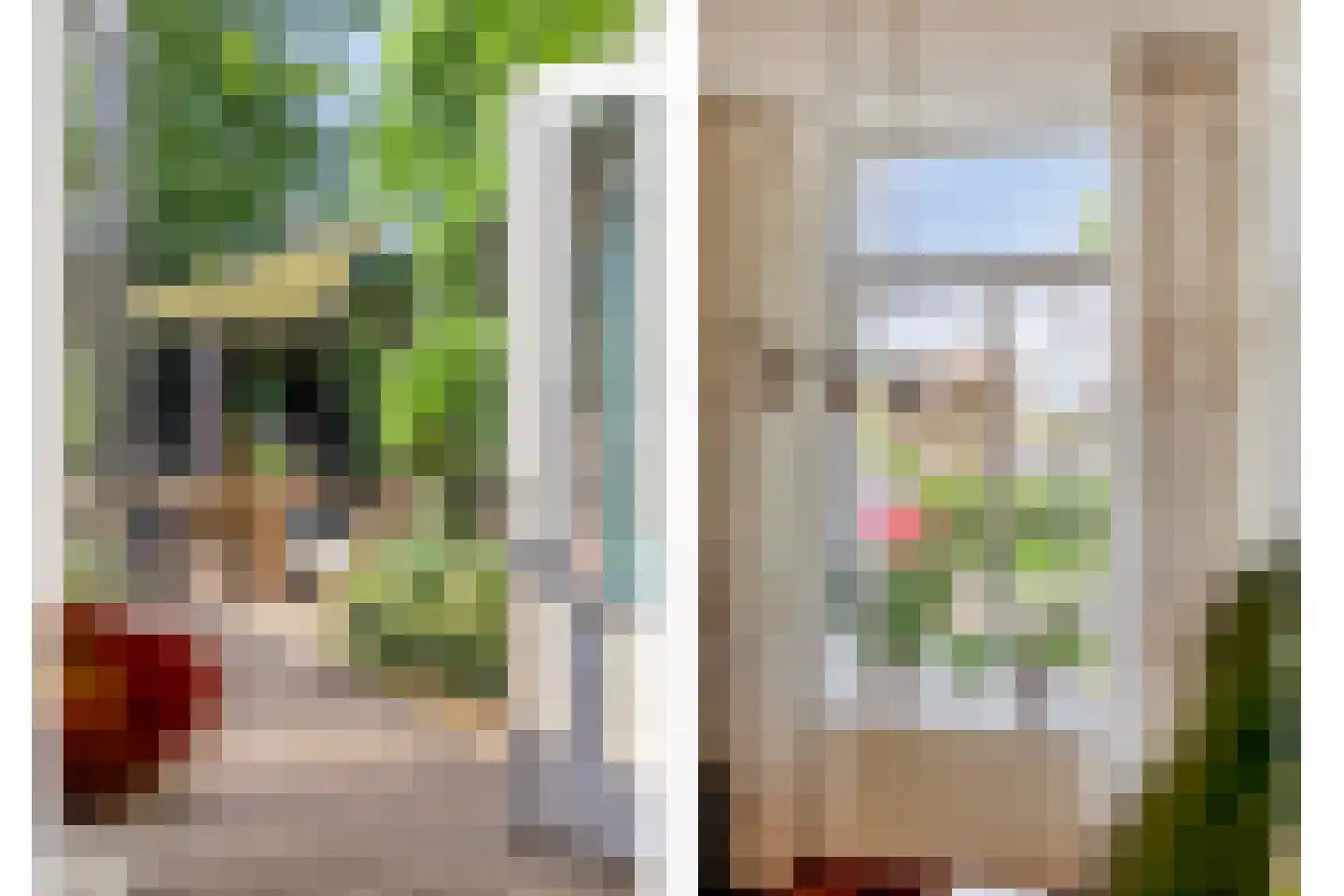 Sterappel 31 Asten thumbnail 11