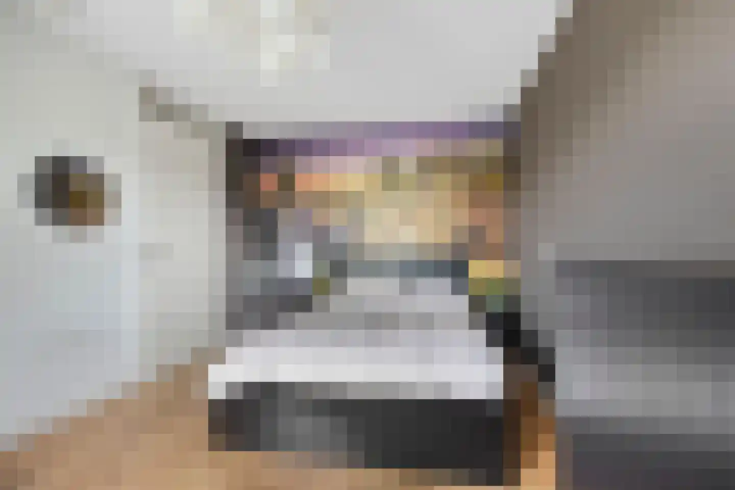 Sterappel 31 Asten thumbnail 20