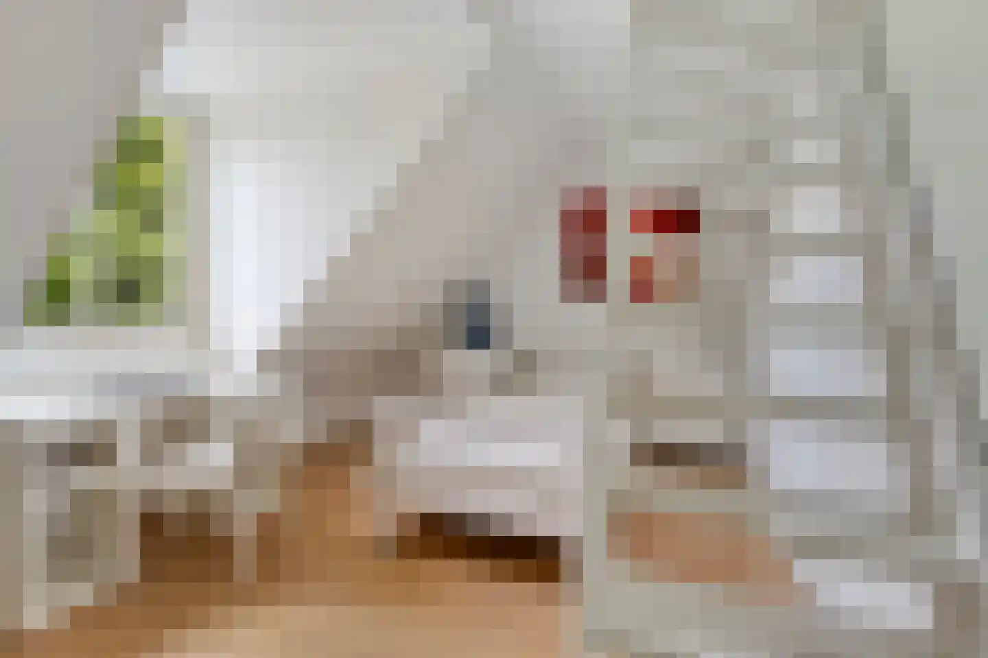 Sterappel 31 Asten thumbnail 25