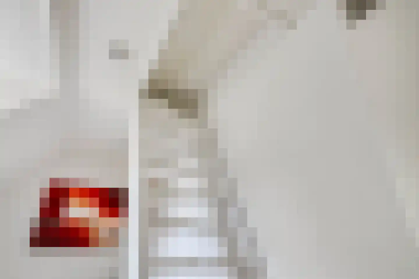 Sterappel 31 Asten thumbnail 27