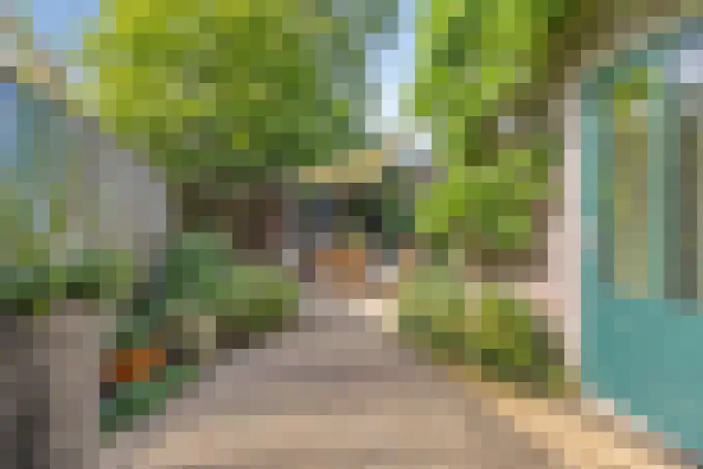 Sterappel 31 Asten thumbnail 28
