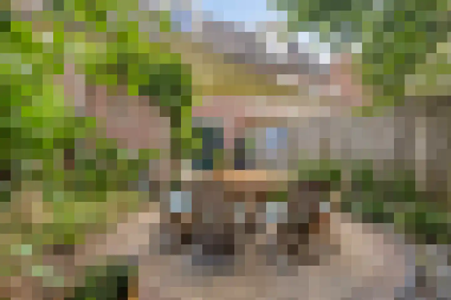 Sterappel 31 Asten thumbnail 31