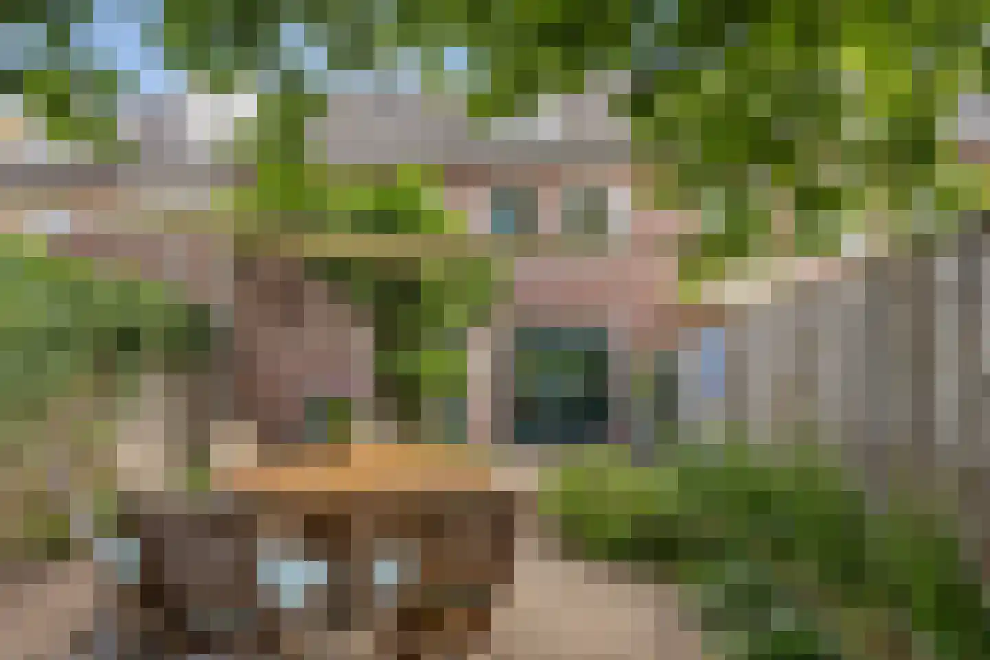 Sterappel 31 Asten thumbnail 32
