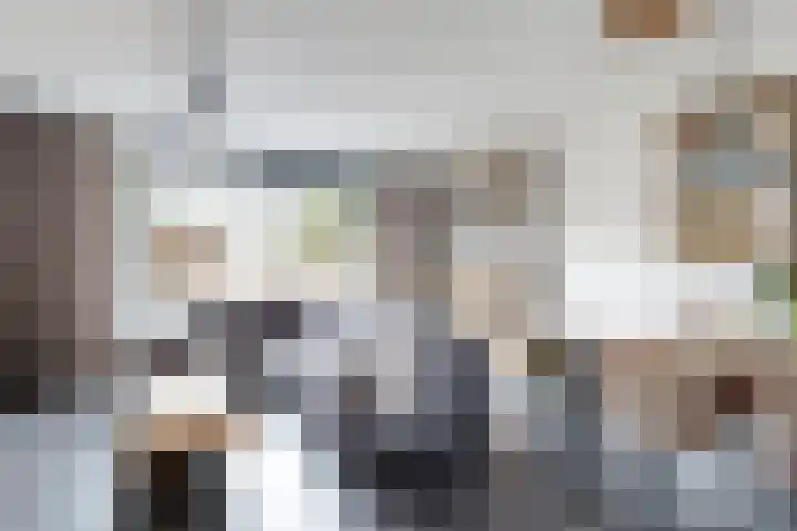 Sterappel 34 Fijnaart thumbnail 10