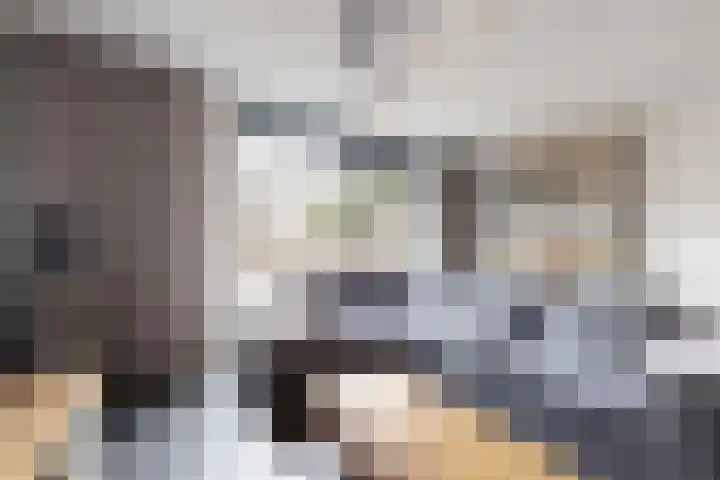 Sterappel 34 Fijnaart thumbnail 14