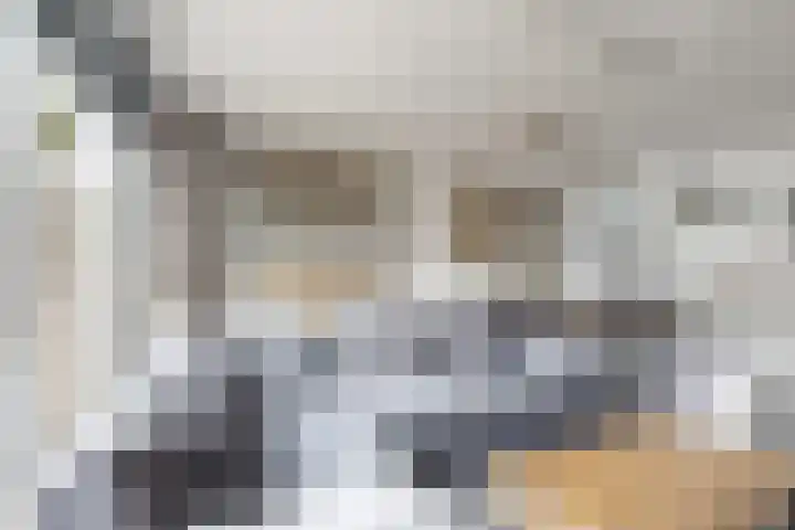 Sterappel 34 Fijnaart thumbnail 15
