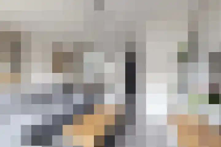 Sterappel 34 Fijnaart thumbnail 16